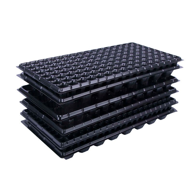 穴盘育苗 林木与多肉蔬菜的高效培育解决方案