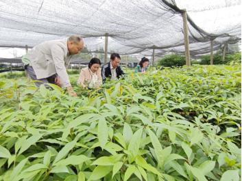 雨城区圆满完成2023年育苗抽查复检工作 质量与效率双提升