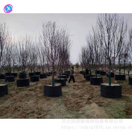 林木塑料护根器 科学控根，助力植树育苗新篇章