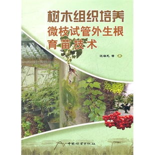 树木组织培养微枝试管外生根育苗技术 林木育苗的新突破